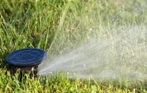 close-up on a sprinkler pop-up head in Enumclaw WA