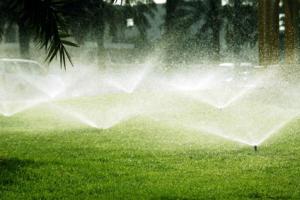 a beautiful lawn maintained by our Enumclaw sprinkler repair team