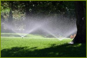 a sprinkler system installed by our Bonney Lake sprinkler repair specialists