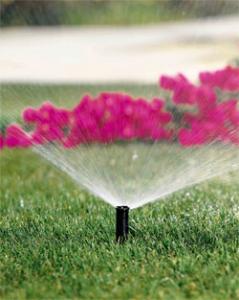 our Spanaway Sprinkler Repair contractors optimized this system